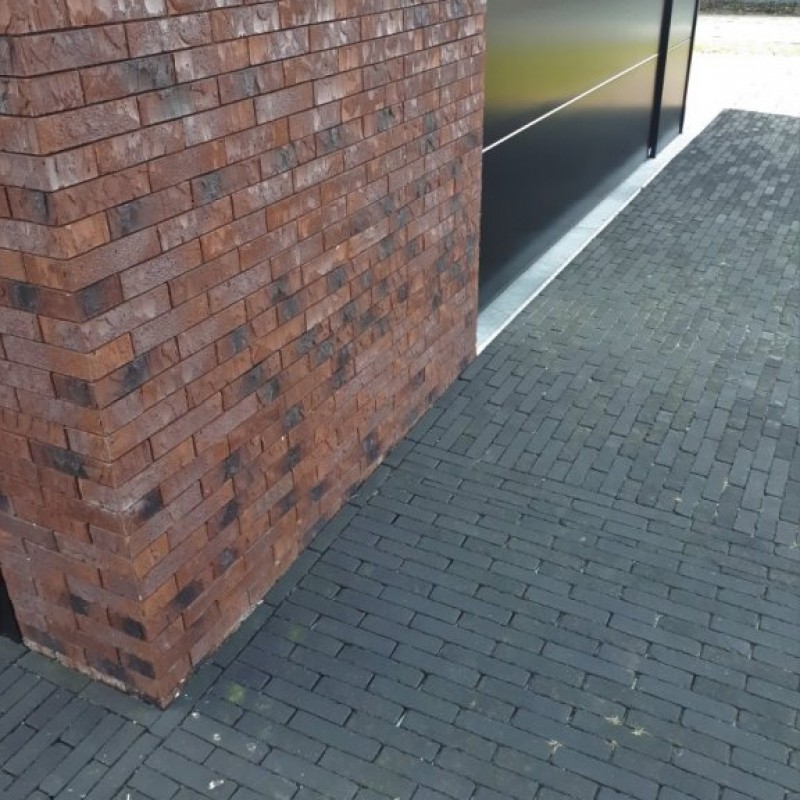 Pavage d'un jardin - Wortel